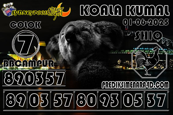 KOALA KUMAL6.jpg