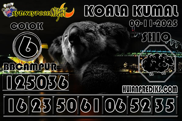 KOALA%2009.jpg