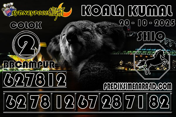 7 KOALA 9G SYD.jpg