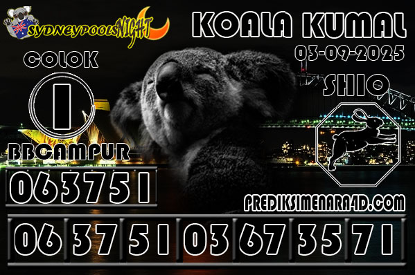7 KOALA 9G SYD.jpg