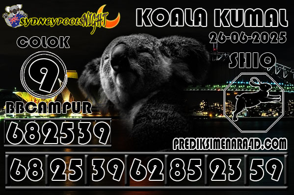 KOALA KUMAL6.jpg