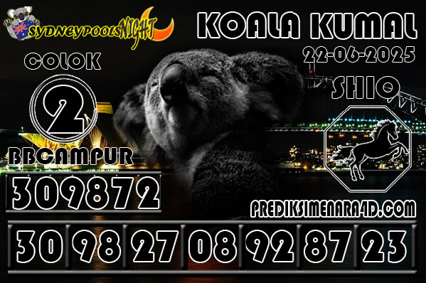 KOALA KUMAL6.jpg