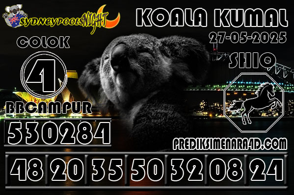 KOALA KUMAL6.jpg
