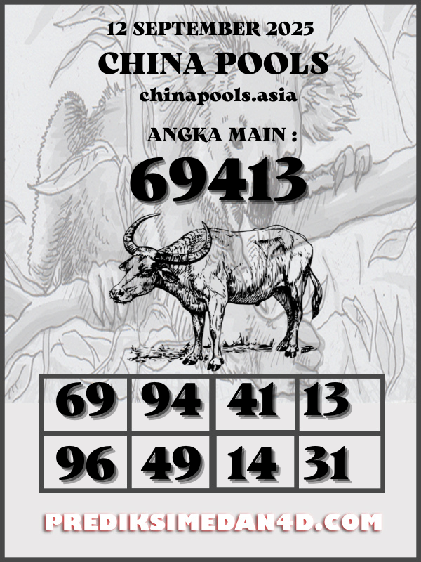 SYAIR%20KOTAK%20CHINA.png