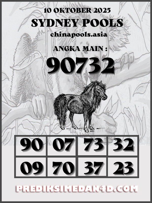 SYAIR%20KOTAK%20CHINA.png
