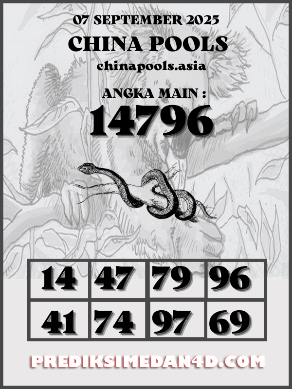 SYAIR%20KOTAK%20CHINA.png