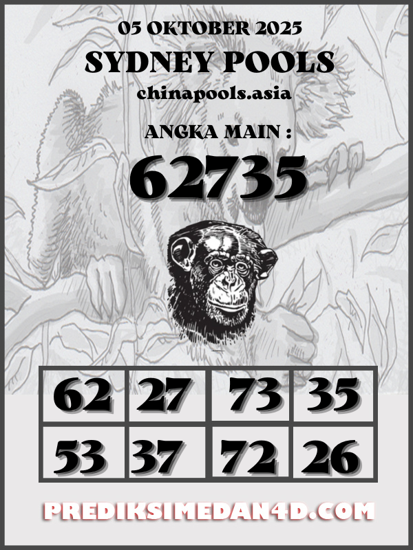 SYAIR%20KOTAK%20CHINA.png
