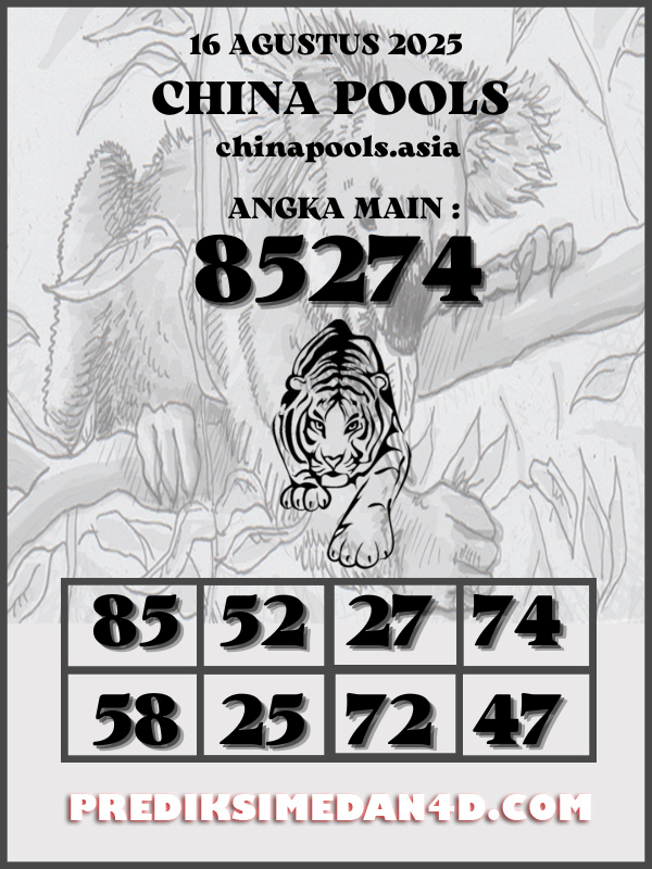 SYAIR%20KOTAK%20CHINA.png