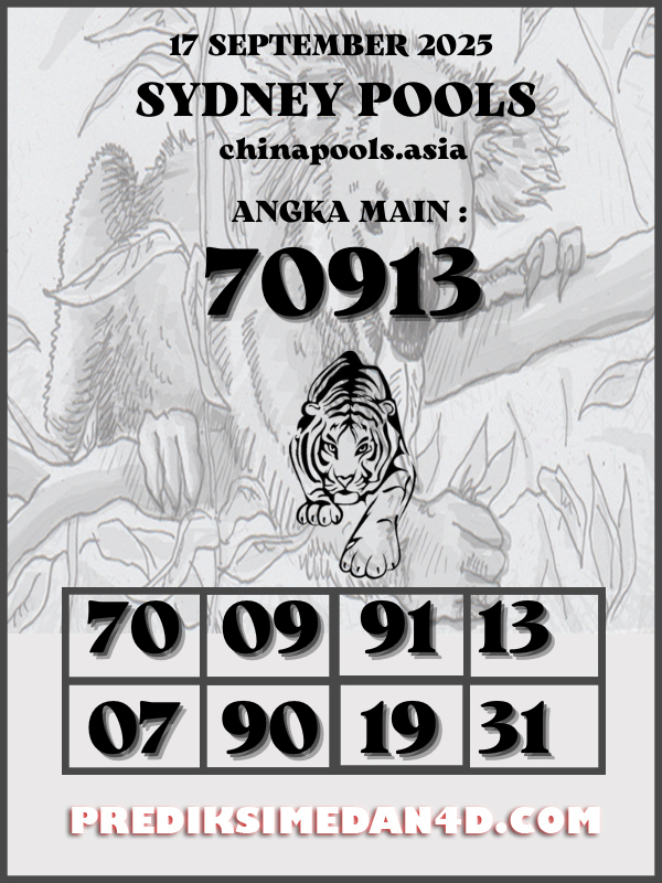 SYAIR%20KOTAK%20CHINA.png