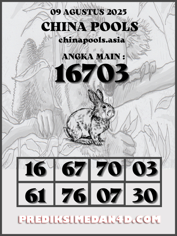 SYAIR%20KOTAK%20CHINA.png