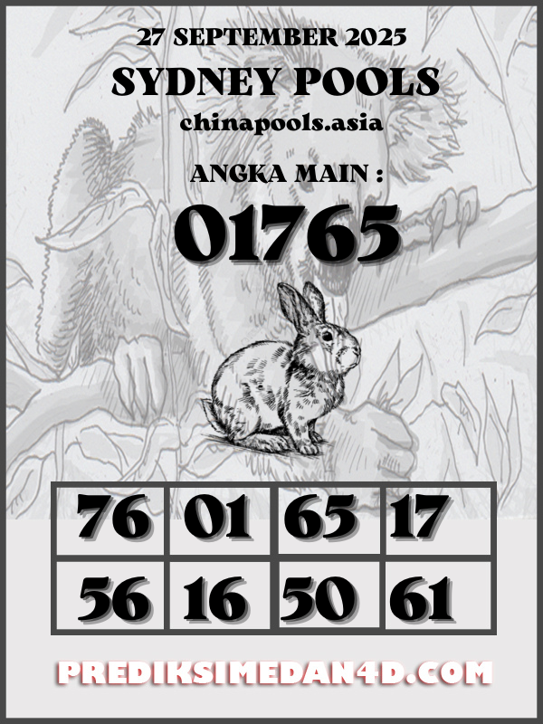 SYAIR%20KOTAK%20CHINA.png
