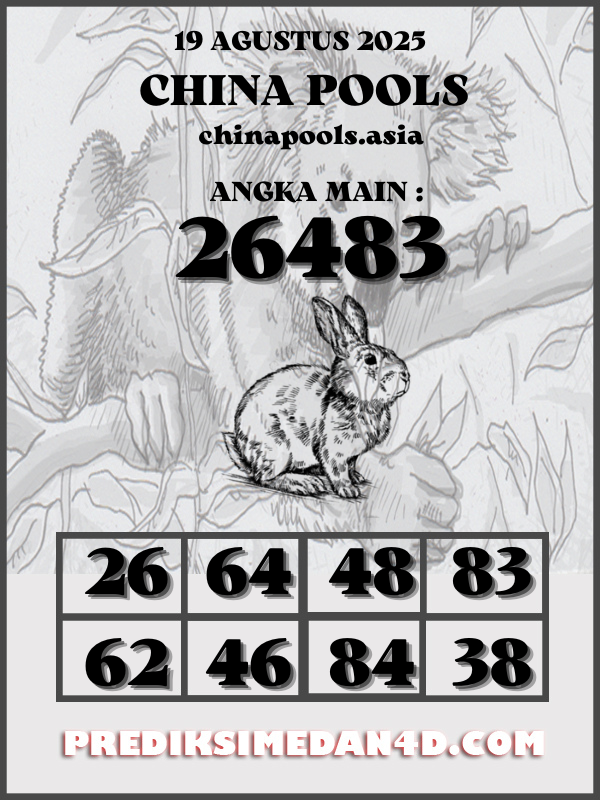 SYAIR%20KOTAK%20CHINA.png