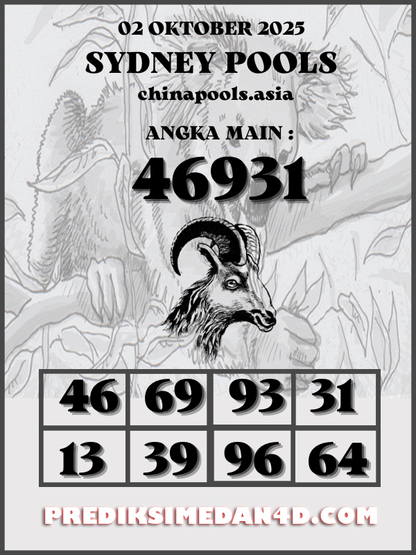 SYAIR%20KOTAK%20CHINA.png