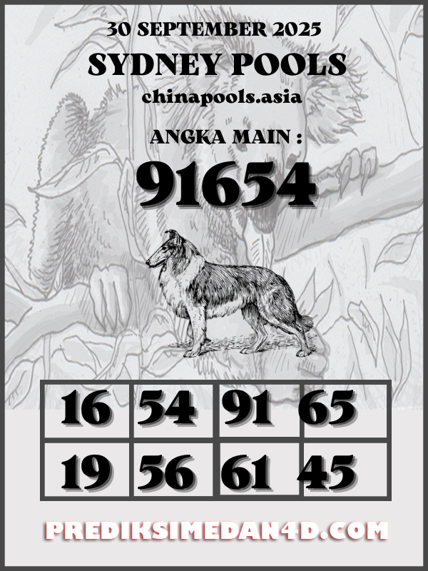 SYAIR%20KOTAK%20CHINA.png