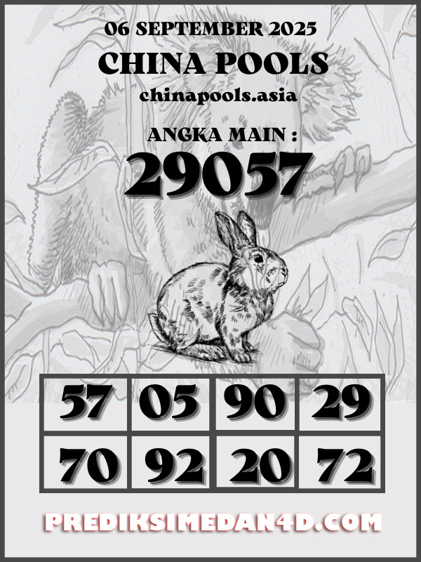 SYAIR%20KOTAK%20CHINA.png