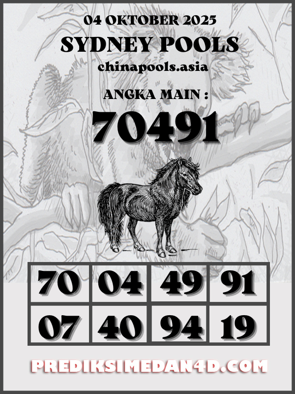 SYAIR%20KOTAK%20CHINA.png