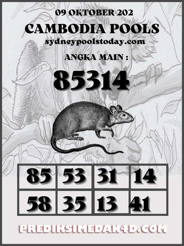 SYAIR%20KOTAK%20SYDNEY.png
