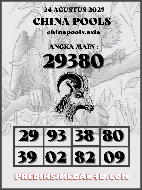 SYAIR%20KOTAK%20CHINA.png