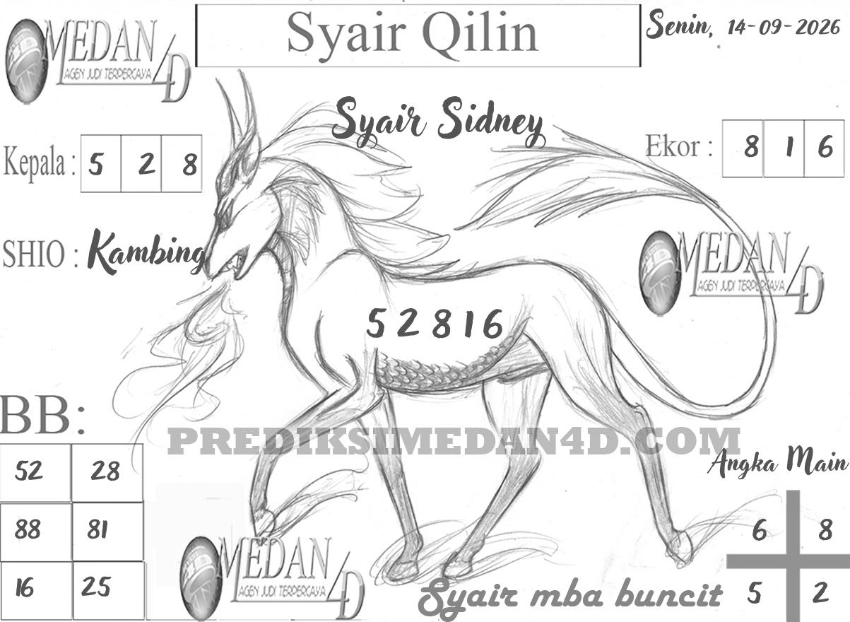 SYAIR%20QILIN%20SIYDNEY.png