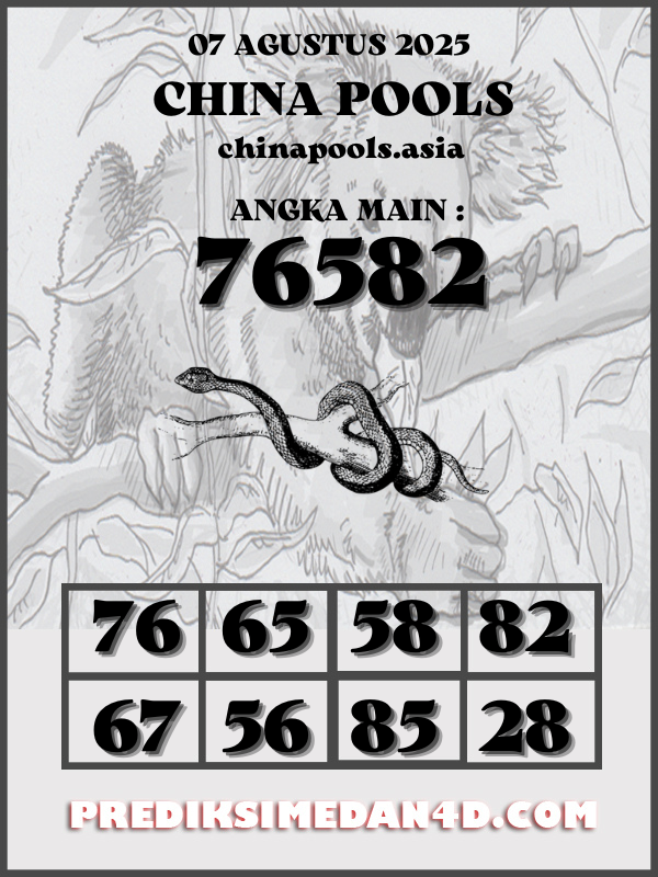SYAIR%20KOTAK%20CHINA.png