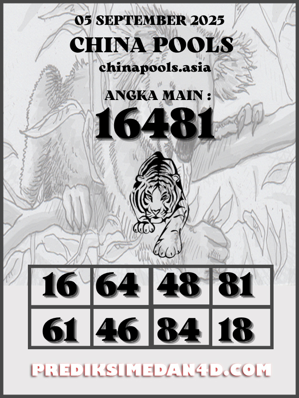 SYAIR%20KOTAK%20CHINA.png
