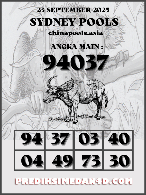 SYAIR%20KOTAK%20CHINA.png