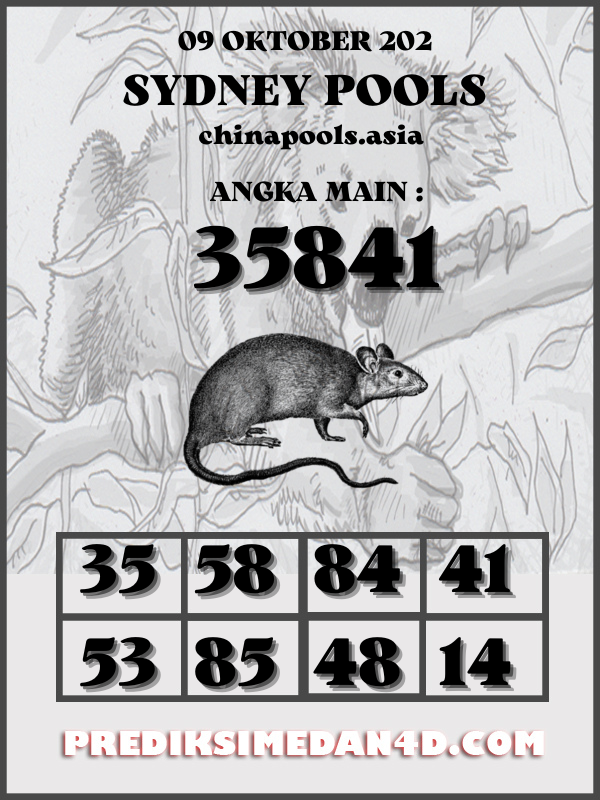 SYAIR%20KOTAK%20CHINA.png