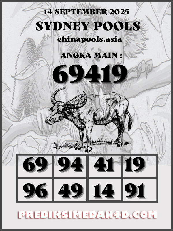 SYAIR%20KOTAK%20CHINA.png
