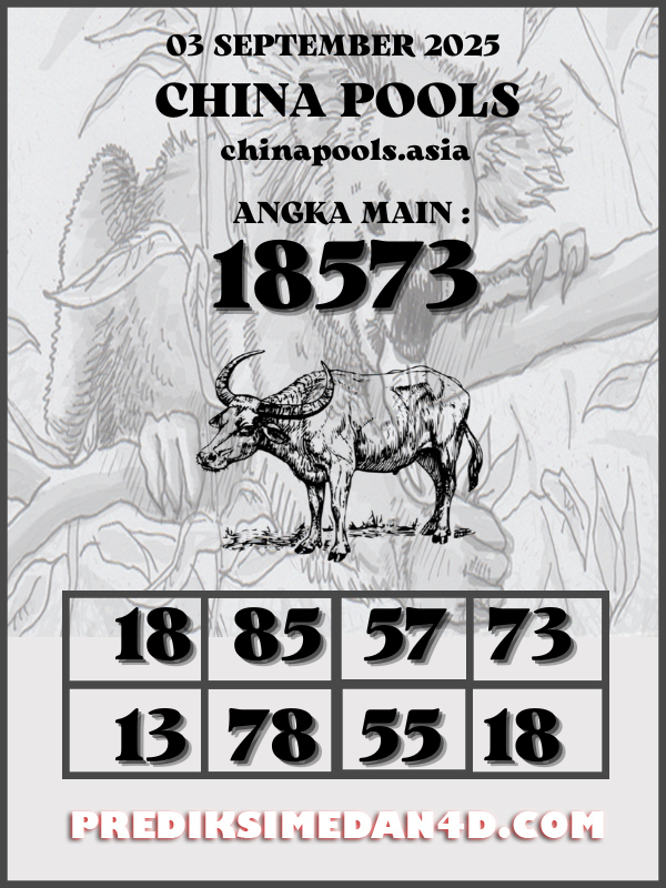 SYAIR%20KOTAK%20CHINA.png
