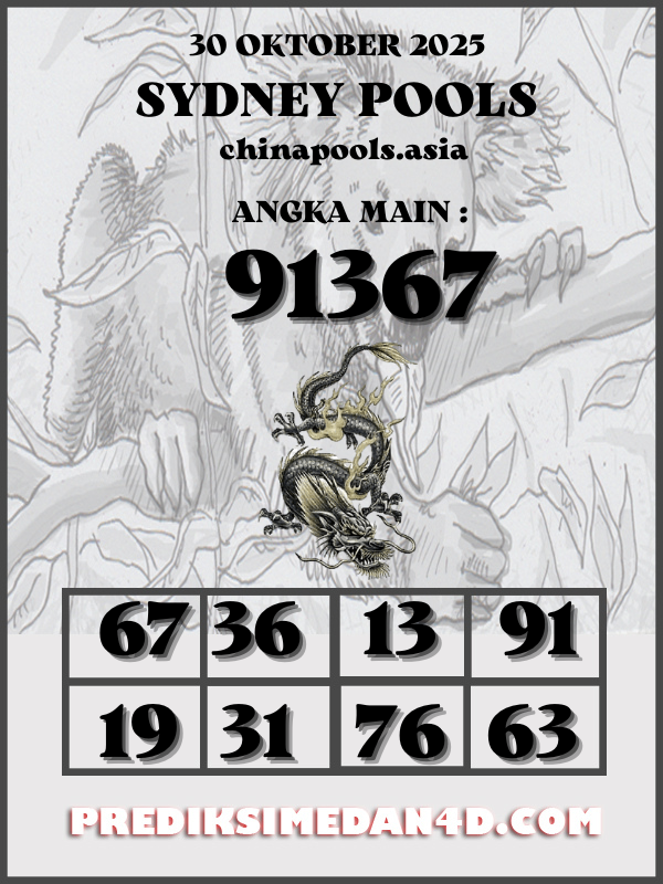 SYAIR%20KOTAK%20CHINA.png