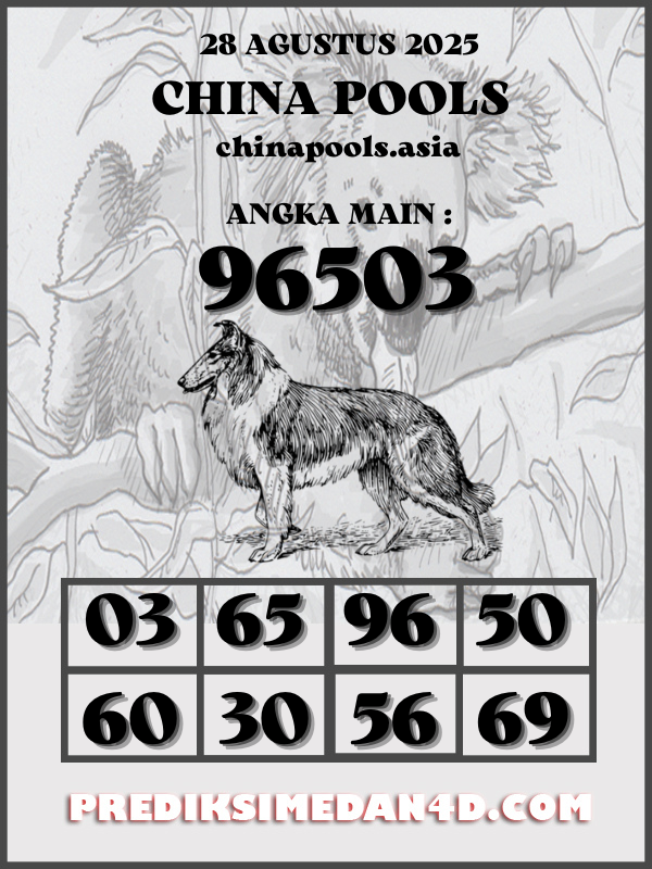 SYAIR%20KOTAK%20CHINA.png