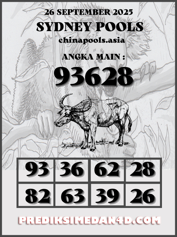 SYAIR%20KOTAK%20CHINA.png