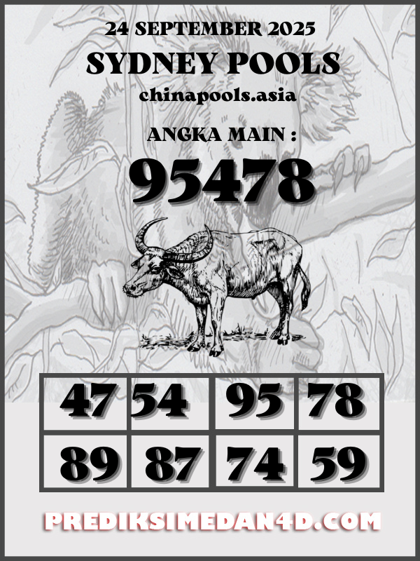 SYAIR%20KOTAK%20CHINA.png