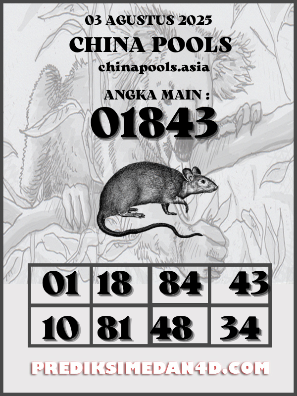 SYAIR%20KOTAK%20CHINA.png