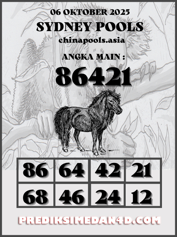 SYAIR%20KOTAK%20CHINA.png