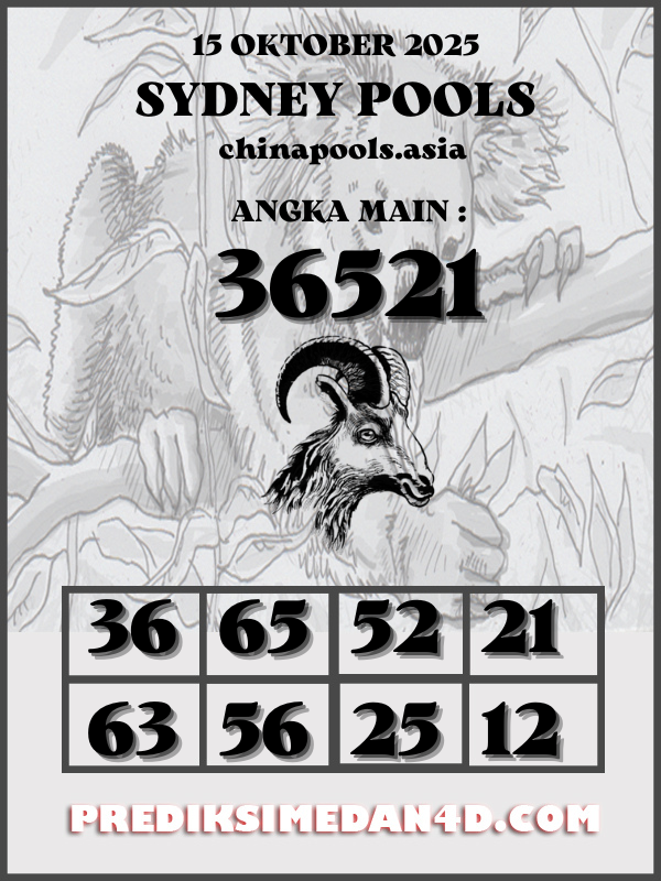 SYAIR%20KOTAK%20CHINA.png