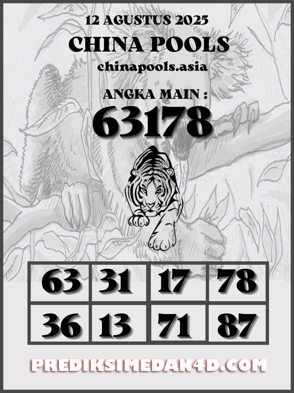 SYAIR%20KOTAK%20CHINA.png