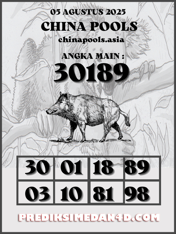 SYAIR%20KOTAK%20CHINA.png