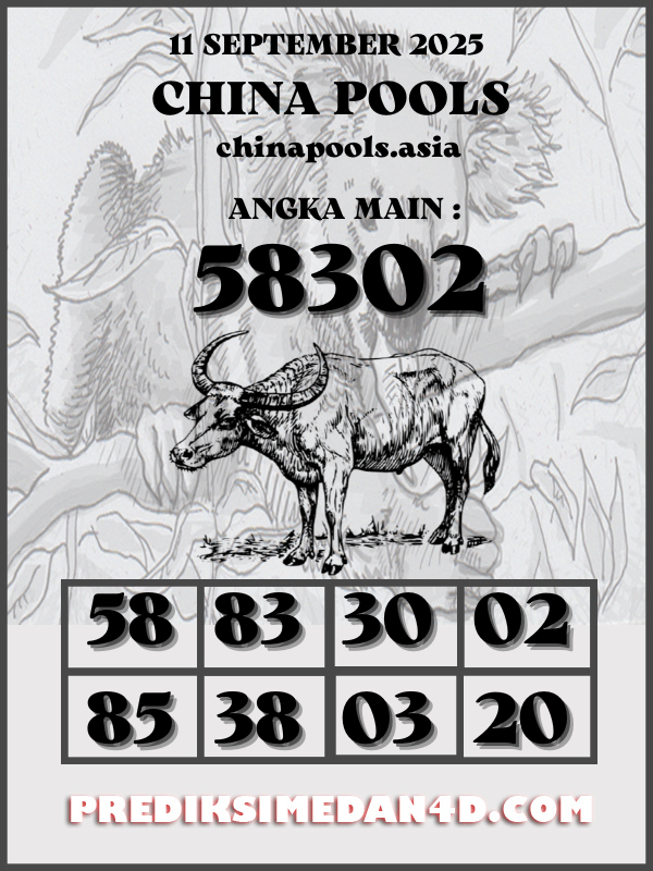 SYAIR%20KOTAK%20CHINA.png