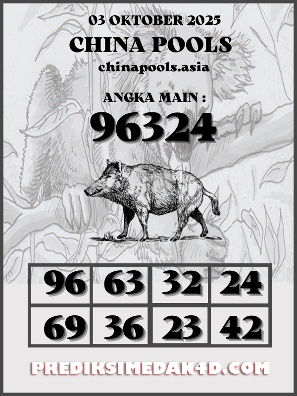 SYAIR%20KOTAK%20CHINA.png