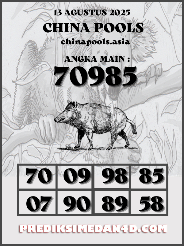 SYAIR%20KOTAK%20CHINA.png
