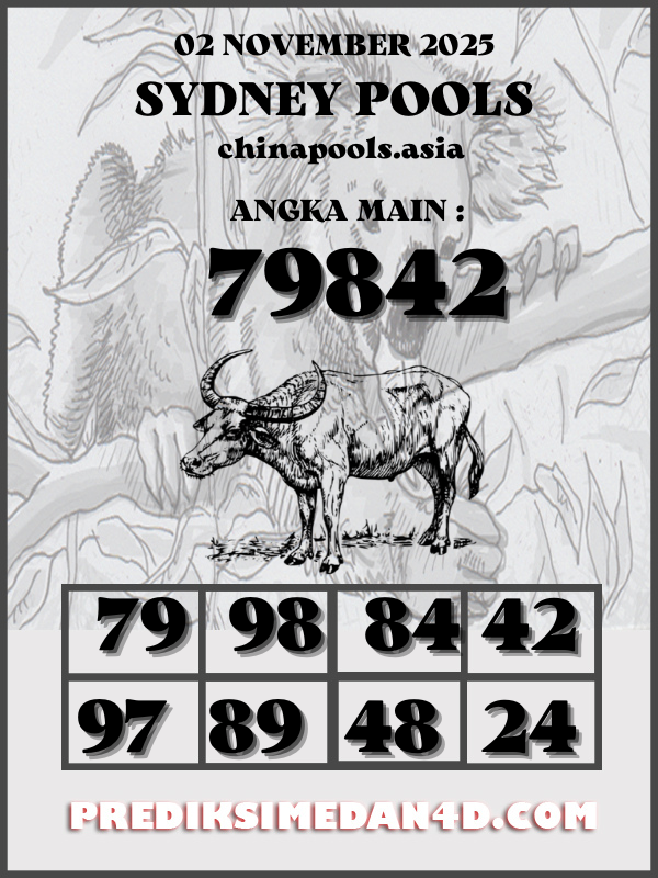 SYAIR%20KOTAK%20CHINA.png