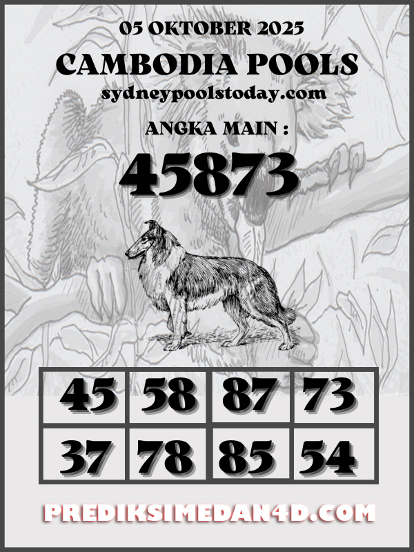 SYAIR%20KOTAK%20SYDNEY.png
