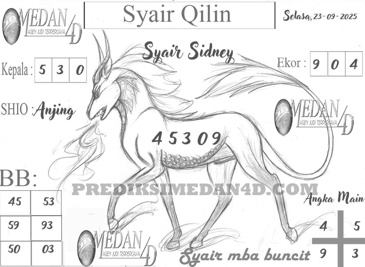 SYAIR%20QILIN%20SIYDNEY.png