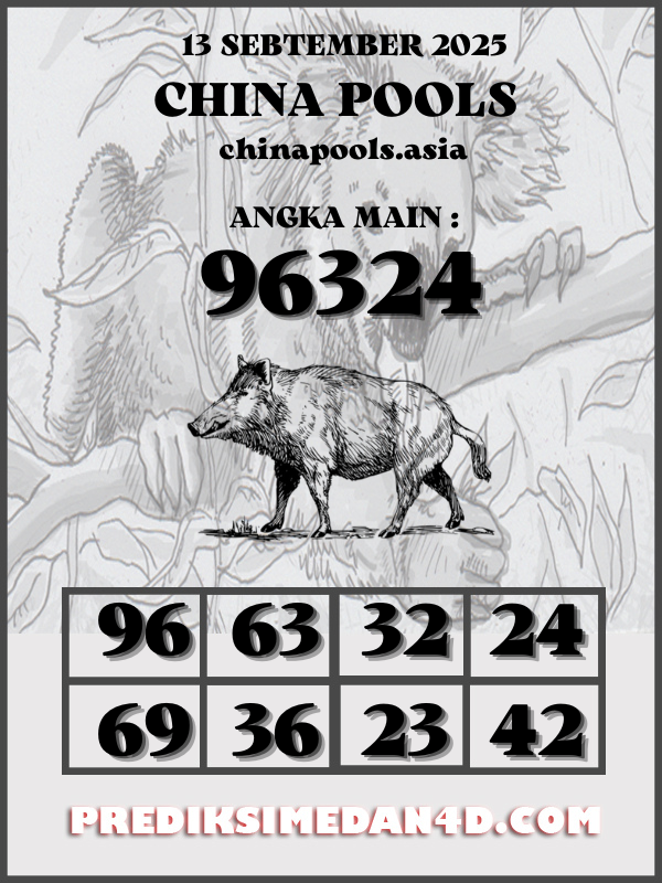 SYAIR%20KOTAK%20CHINA.png