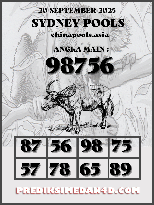 SYAIR%20KOTAK%20CHINA.png