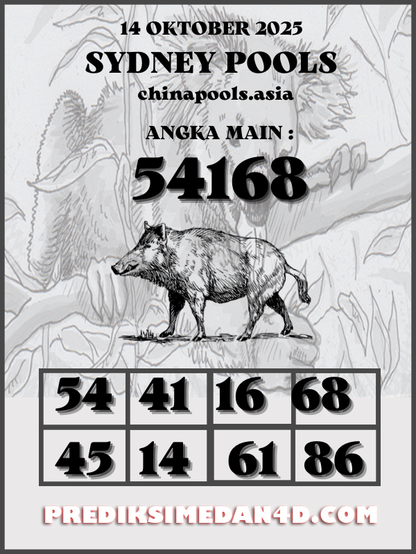 SYAIR%20KOTAK%20CHINA.png