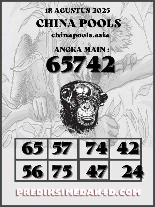 SYAIR%20KOTAK%20CHINA.png