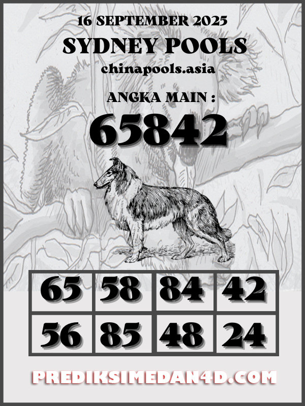 SYAIR%20KOTAK%20CHINA.png