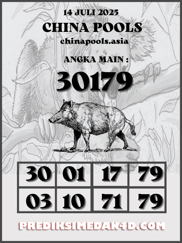 SYAIR%20KOTAK%20CHINA.png